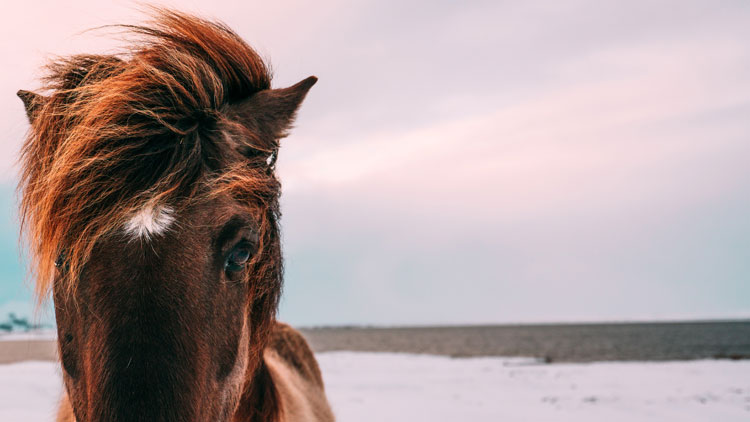 Another 50 things 21 year olds can learn...