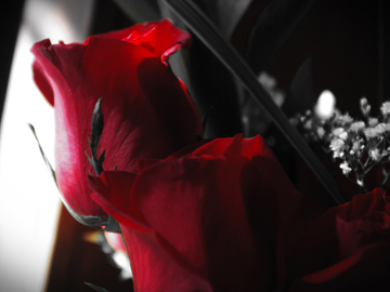 Go Back: to the last thing God told you to do.