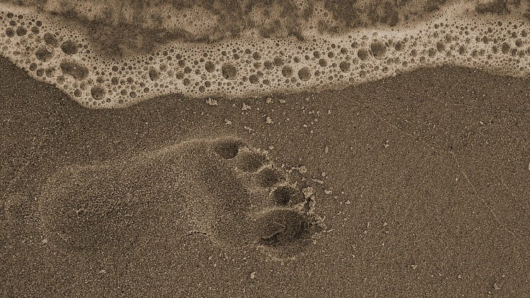 The Best Gift Ever!!!